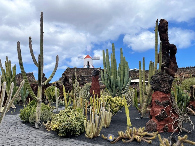 Jardin de Cactus (Lanzarote)