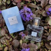 Perceive EDP
