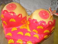 Torta prsia
