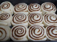 Vyborne skoricove hniezda