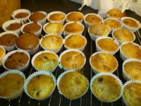 muffiny lenivej ženy